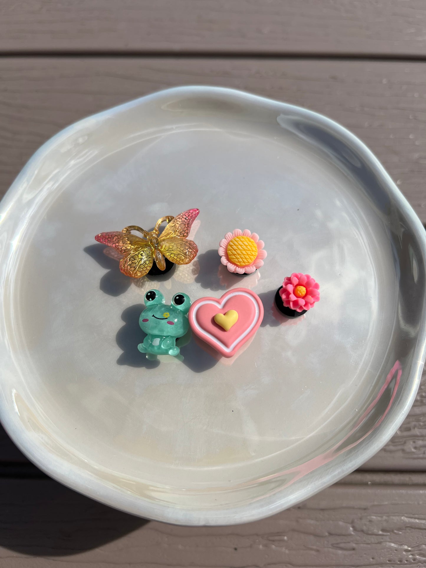 Summer garden set of croc bling 9
